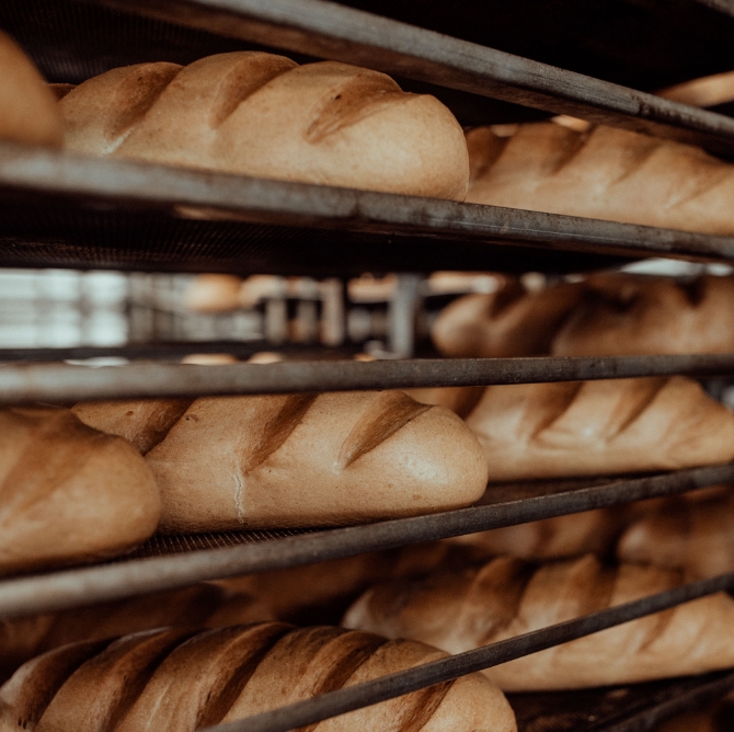 Beitragstitel Lorem Ipsum